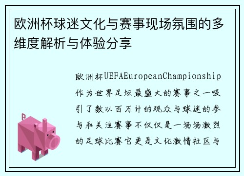 欧洲杯球迷文化与赛事现场氛围的多维度解析与体验分享